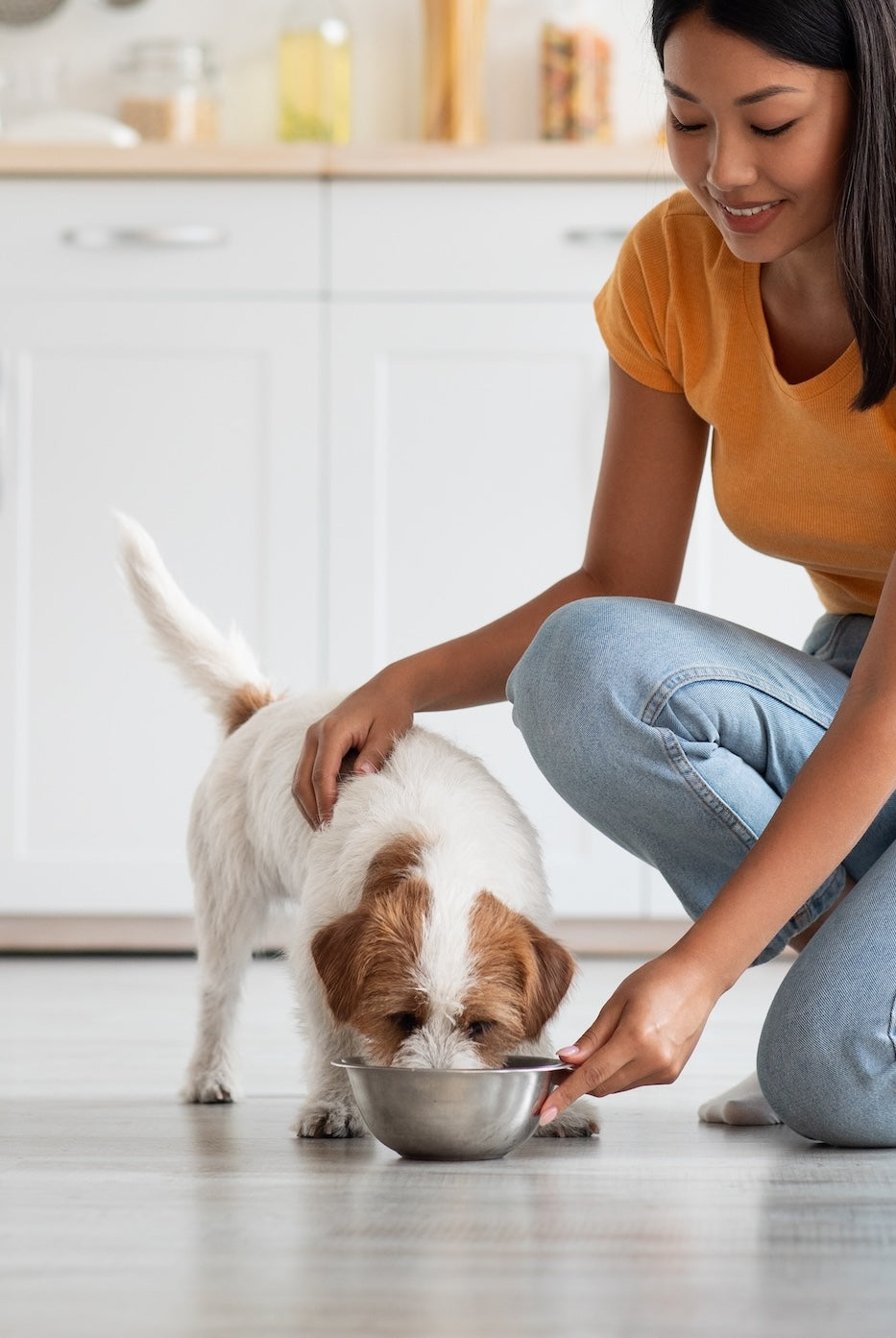 Woman feeding a small white and brown dog from a bowl in a kitchen.