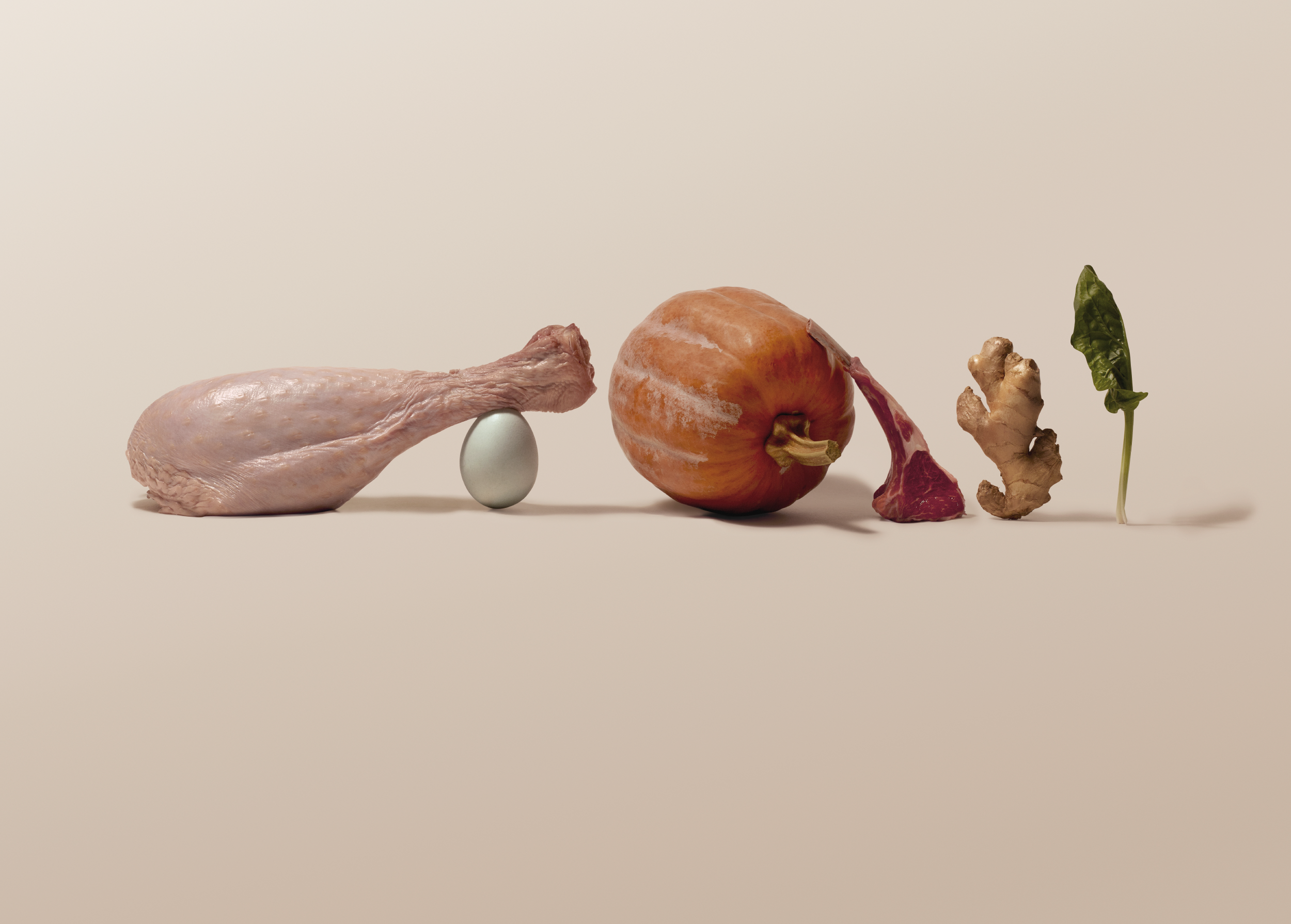 What Complete & Balanced Really Means