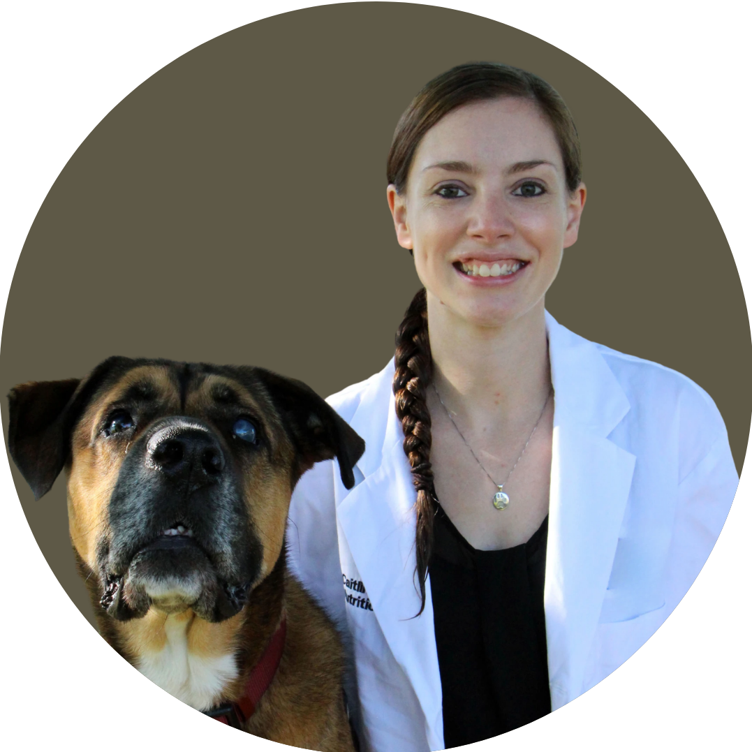 Dr. Caitlin Grant, DVM, ECVCN, board-certified veterinary nutritionist and Purely Golden Foods clinical advisor, smiling in a white lab coat alongside a large dog