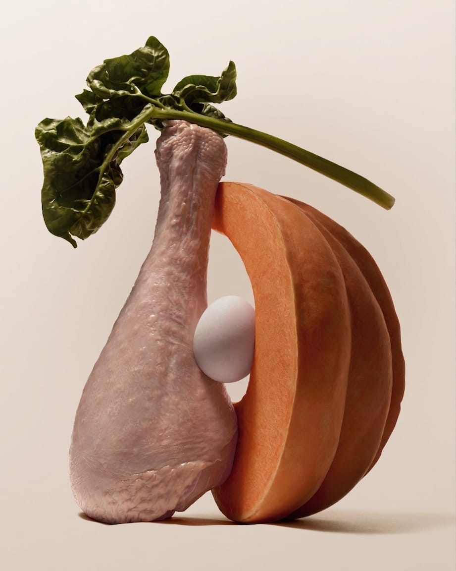 Raw turkey leg, sliced pumpkin, egg, spinach, and blueberry arranged together, showcasing the whole food ingredients in Purely Golden Foods turkey dog food formula