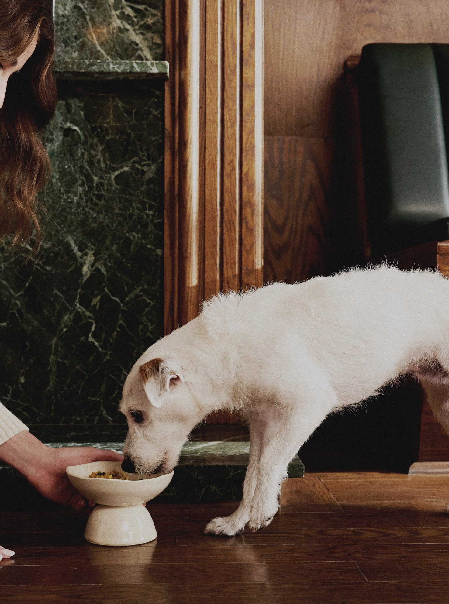 Woman hand-feeding a small dog from a ceramic bowl, offering clinical-grade dog food formulated for sensitive digestion and small breed nutrition
