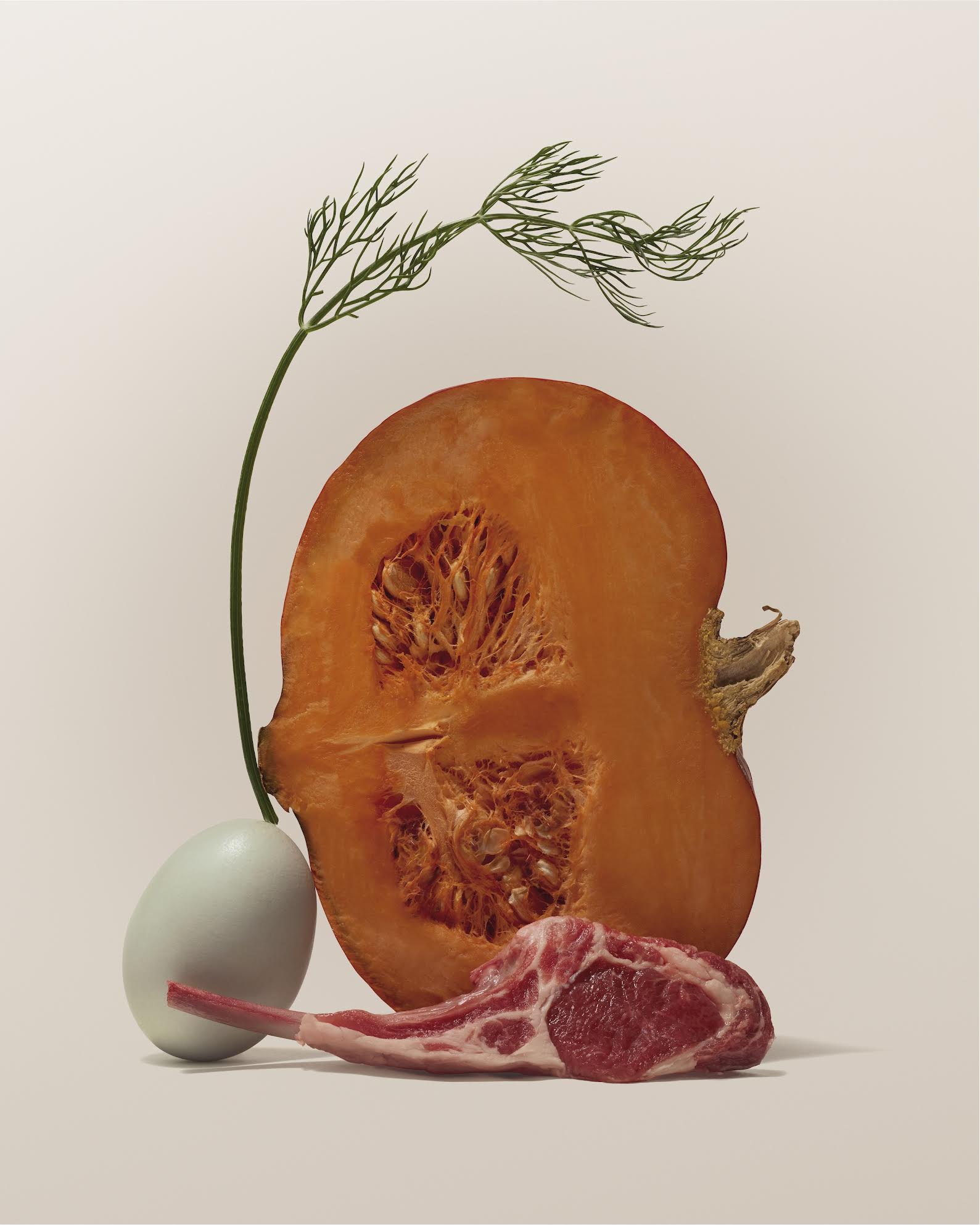 Raw lamb chop, egg, halved pumpkin, and fresh dill arranged together, showing the whole food ingredients in Purely Golden Foods upcoming lamb dog food formula