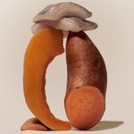 Raw fish fillet balanced atop a halved sweet potato and curved pumpkin slice, showcasing the whole food ingredients in Purely Golden Foods upcoming seafood dog food formula