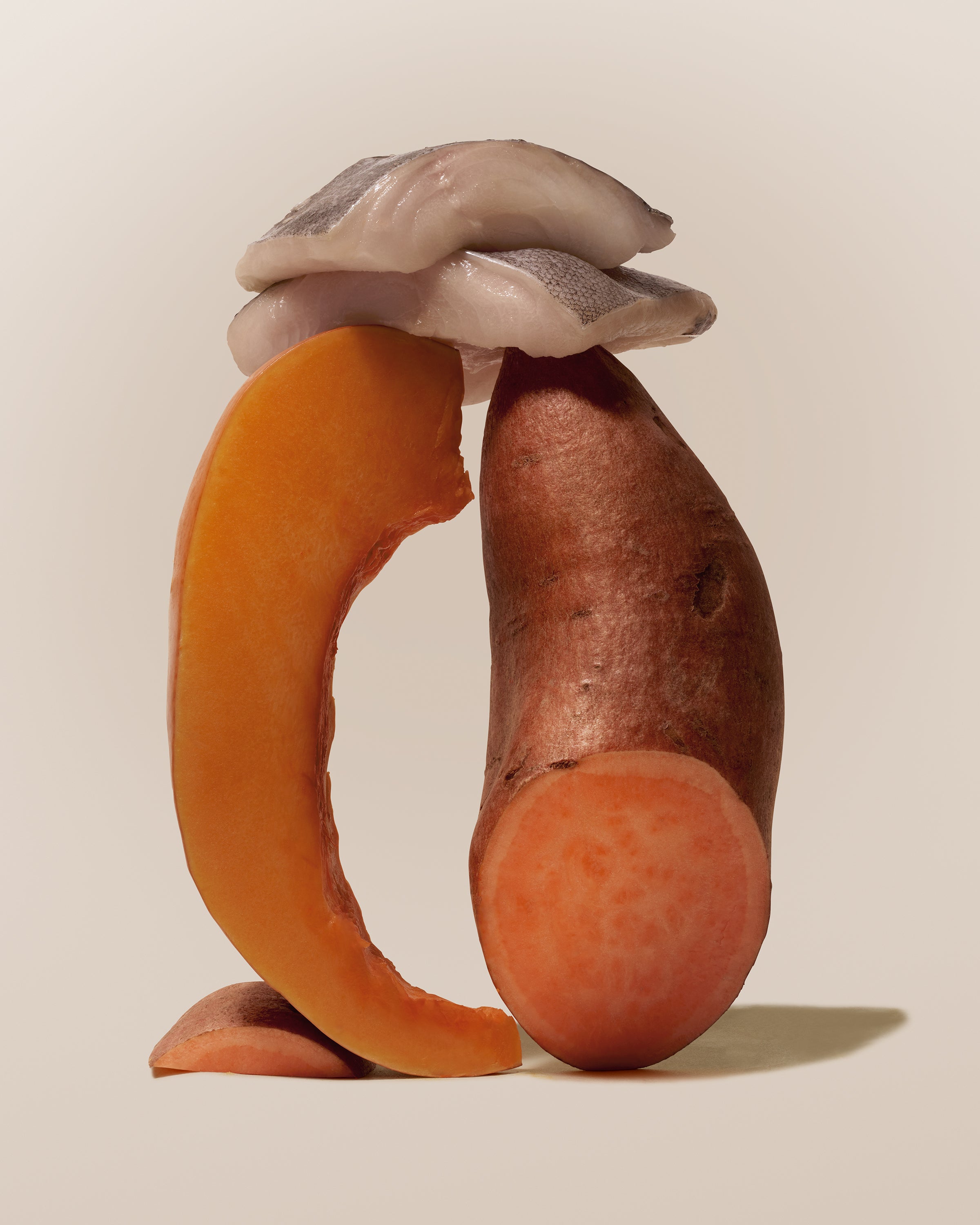 Raw fish fillet balanced atop a halved sweet potato and curved pumpkin slice, showcasing the whole food ingredients in Purely Golden Foods upcoming seafood dog food formula
