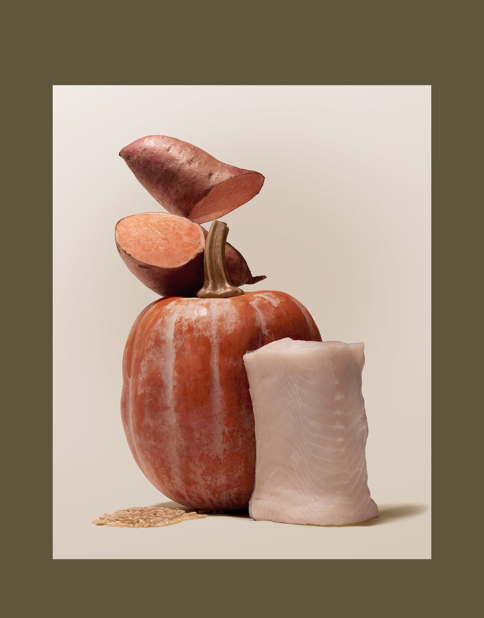 Raw white fish fillet, pumpkin, sweet potato, and brown rice arranged together, showing the whole food ingredients in Purely Golden Foods upcoming seafood dog food formula. Green background framing the shot.