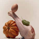 Raw turkey leg, egg, pumpkin, spinach, and blueberries arranged together, showing the whole food ingredients in Purely Golden Foods turkey dog food formula