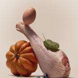 Raw turkey leg, egg, pumpkin, spinach, and blueberries arranged together, showing the whole food ingredients in Purely Golden Foods turkey dog food formula