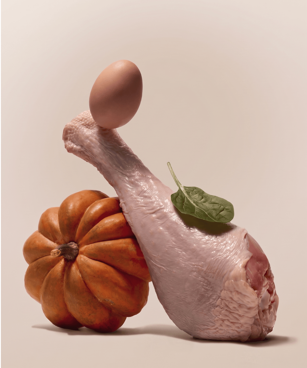 Raw turkey leg, egg, pumpkin, and spinach arranged together, showing the whole food ingredients in Purely Golden Foods turkey dog food formula.
