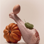 Raw turkey leg, egg, pumpkin, and spinach arranged together, showing the whole food ingredients in Purely Golden Foods turkey dog food formula.