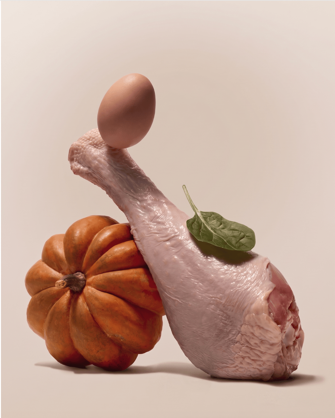 Raw turkey leg, egg, pumpkin, and spinach arranged together, showing the whole food ingredients in Purely Golden Foods turkey dog food formula.